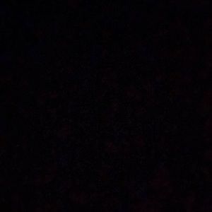 Meet your Posher, Kavya